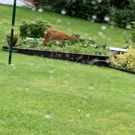 La Chauve Souris Vakantiehuis *