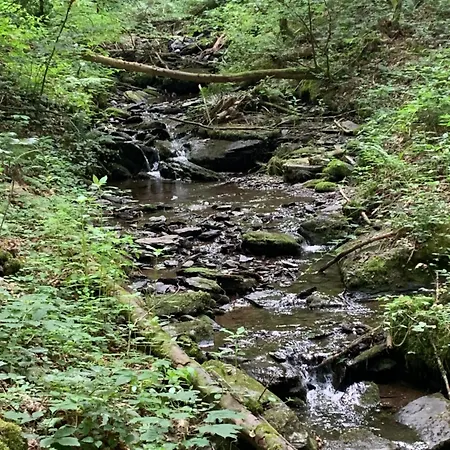 Vakantiehuis La Chauve Souris *